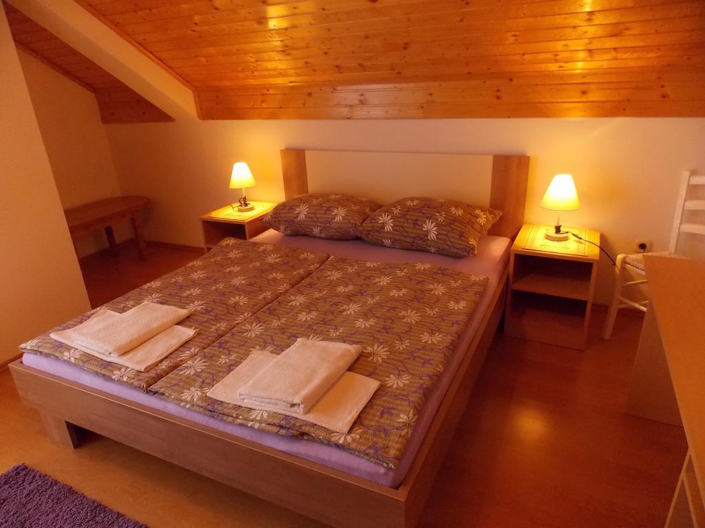 Apartments Smirnov Drežnik Grad Rum bild